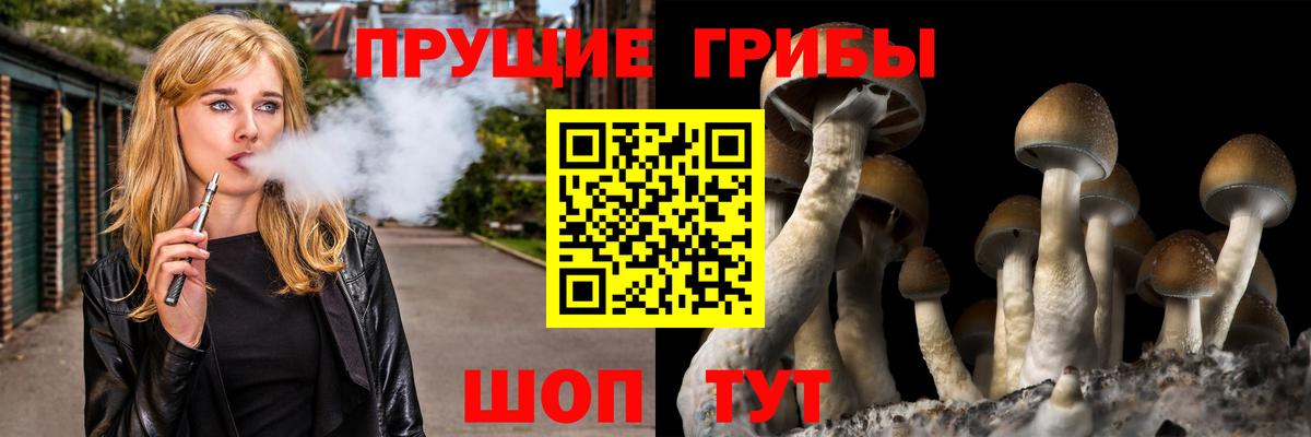 Биробиджан  Псилоцибиновые грибы мухоморы  Псилоцибиновые грибы мухоморы  Вход с VPN 